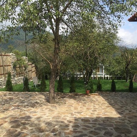 Villa Jrhogher ディリジャン エクステリア 写真